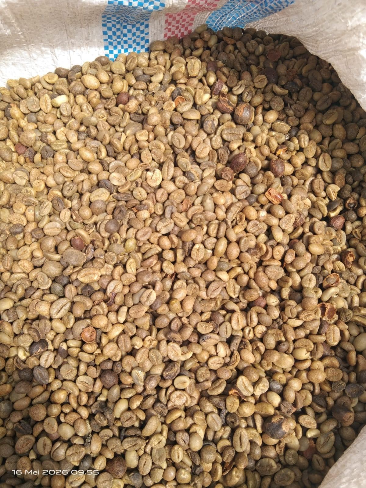 Kopi Original Kerinci